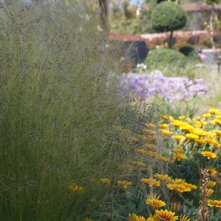 Les Jardins De Santa Giulia - Charmante Chambre D'Hote Porto-Vecchio  Exteriör bild