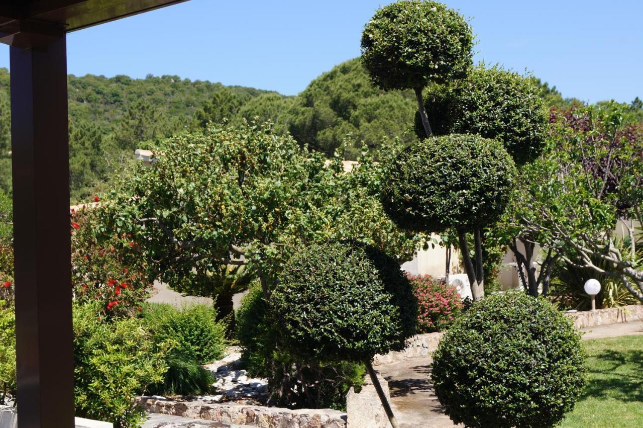 Les Jardins De Santa Giulia - Charmante Chambre D'Hote Porto-Vecchio  Exteriör bild